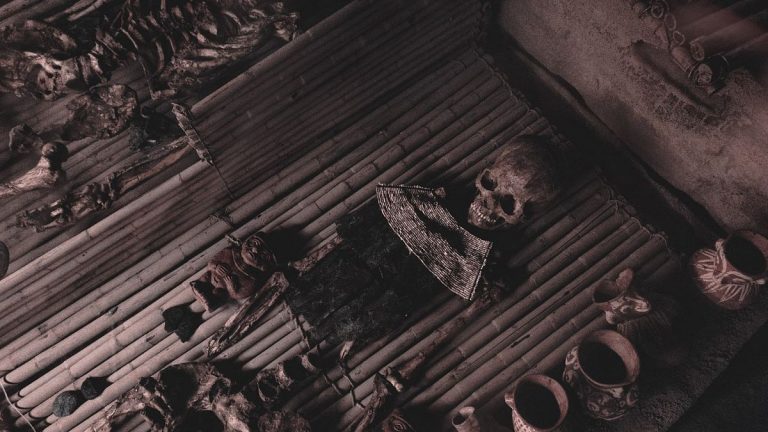 Bir Fransız bodrumunda 38 iskelet buldu