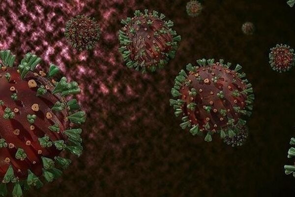 DSÖ: Afrika’da yaygın M çiçeği virüsüne karşı sürekli bulaşma riski nedeniyle hedefli aşılama şart