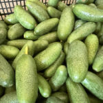 Antalya’nın Ürünleri Dünyaya Açılıyor: Rekolte Beklentisi Zirveye Çıkıyor